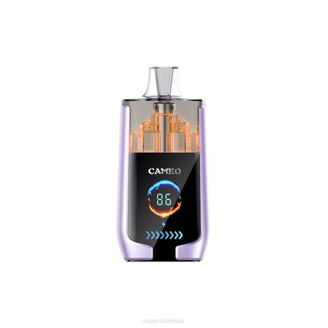 Vape Desechable - hielo de uva 0L4816 LAVIE CAMEO 30000 bocanadas